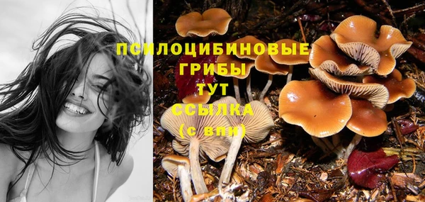 прущие крисы Алзамай