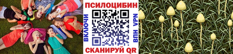 Псилоцибиновые грибы MAGIC MUSHROOMS  хочу наркоту  Билибино 